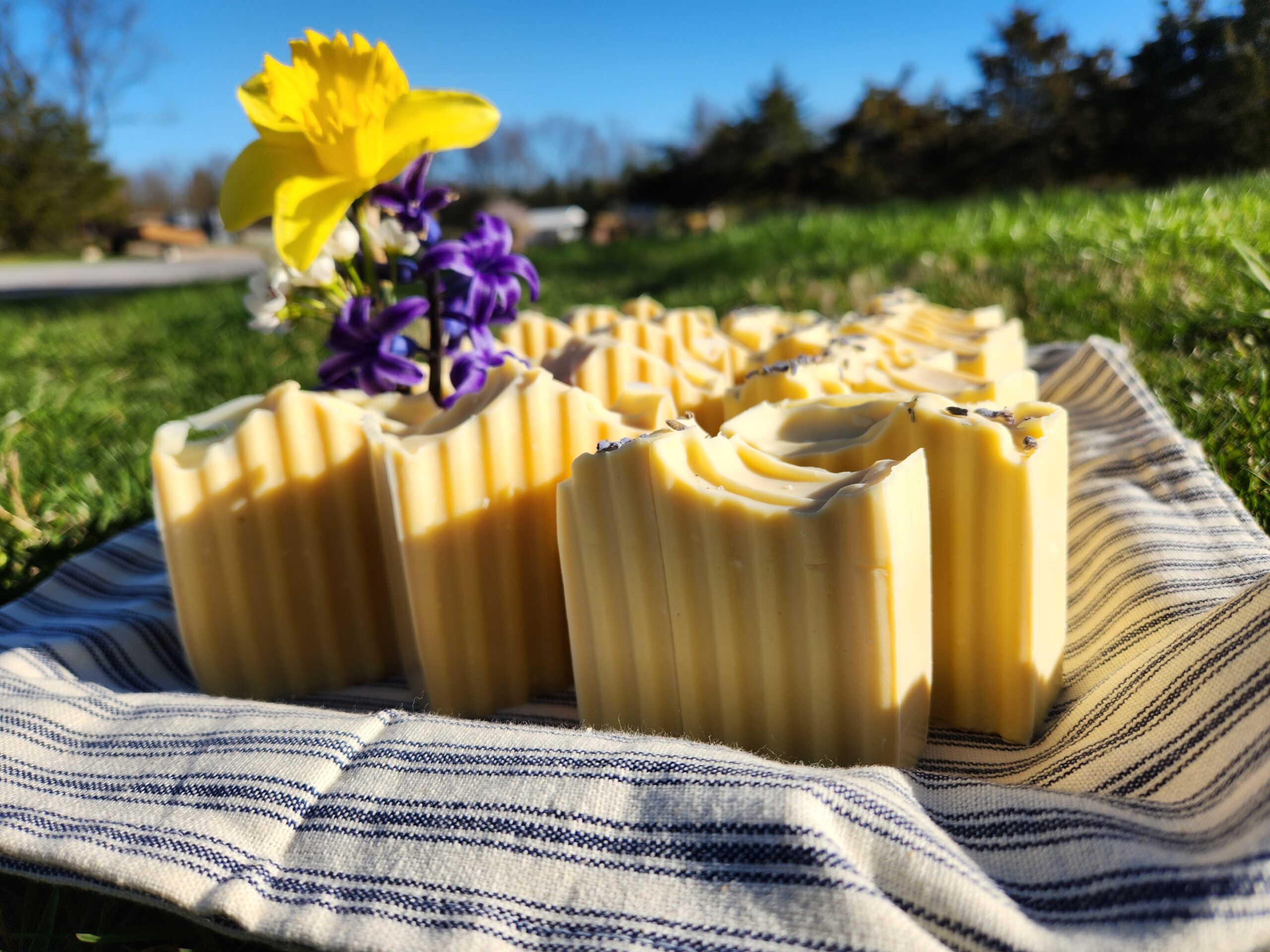 Display of Goat's Milk Soap